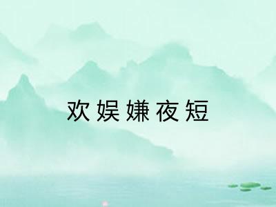 欢娱嫌夜短