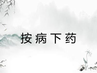 按病下药 按病下药