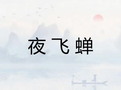 夜飞蝉 夜飞蝉