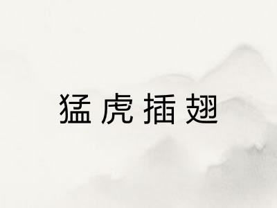 猛虎插翅 猛虎插翅