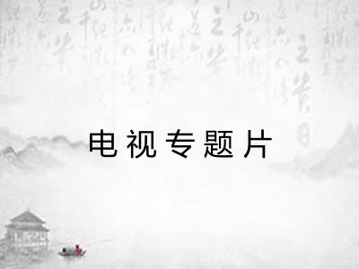 电视专题片