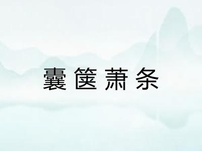 囊箧萧条 囊箧萧条