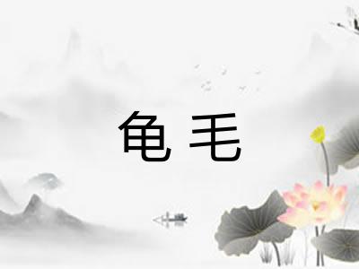 龟毛 龟毛