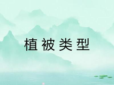 植被类型