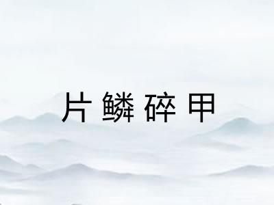 片鳞碎甲 片鳞碎甲