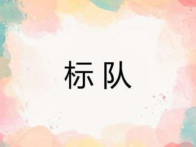 标队