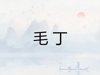 毛丁 毛丁