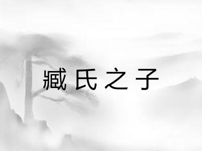 臧氏之子 臧氏之子