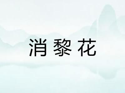 消黎花