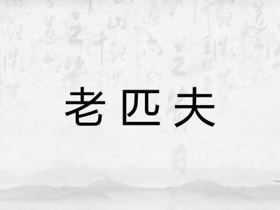 老匹夫 老匹夫