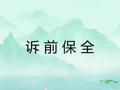 诉前保全 诉前保全