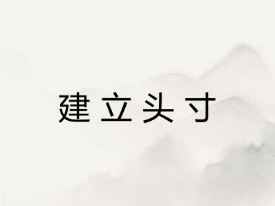 建立头寸 建立头寸