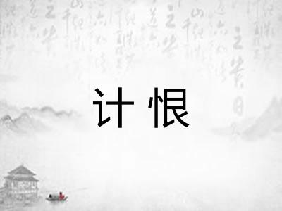 计恨