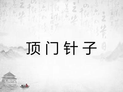 顶门针子 顶门针子