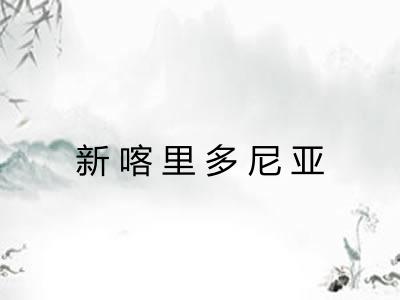 新喀里多尼亚 新喀里多尼亚