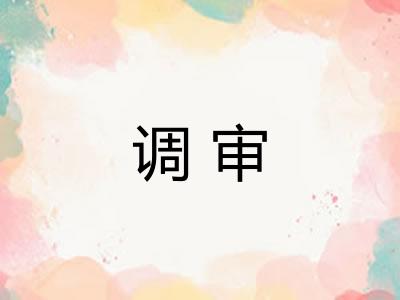 调审