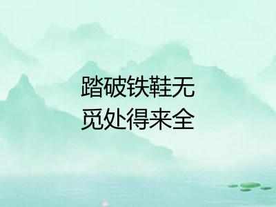 踏破铁鞋无觅处得来全不费功夫 踏破铁鞋无觅处得来全不费功夫