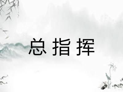 总指挥