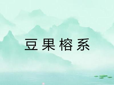 豆果榕系 豆果榕系