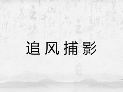 追风捕影