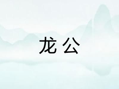 龙公