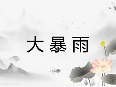 大暴雨 大暴雨