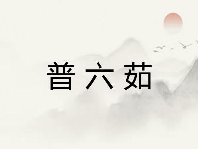 普六茹 普六茹