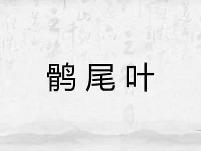 鹘尾叶 鹘尾叶