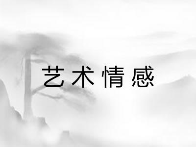 艺术情感 艺术情感