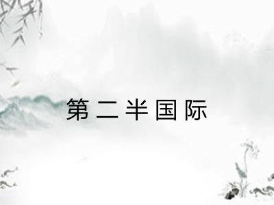 第二半国际 第二半国际