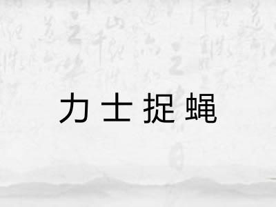 力士捉蝇 力士捉蝇