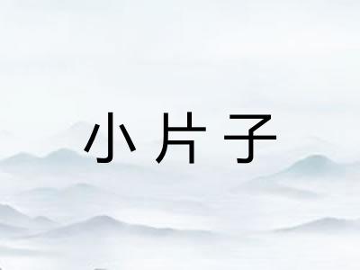 小片子 小片子