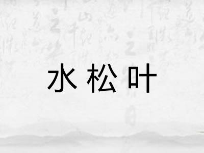 水松叶
