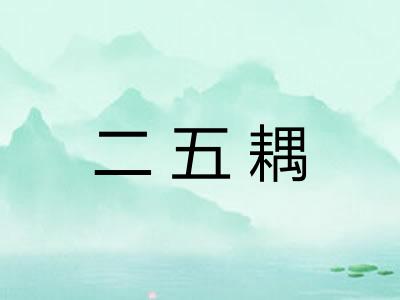 二五耦 二五耦
