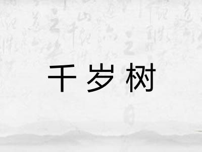 千岁树 千岁树