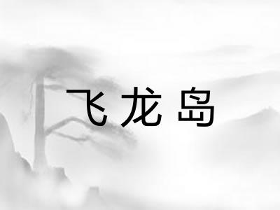 飞龙岛 飞龙岛