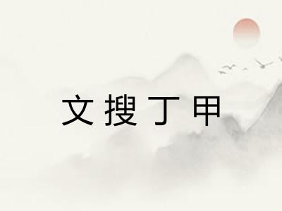 文搜丁甲 文搜丁甲