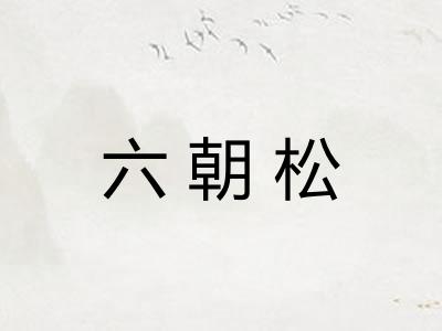 六朝松