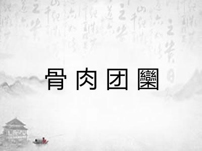 骨肉团圞 骨肉团圞