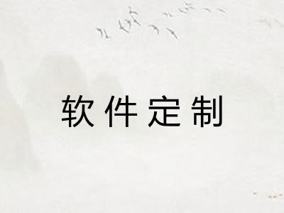 软件定制 软件定制