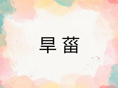 旱菑 旱菑