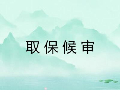 取保候审 取保候审