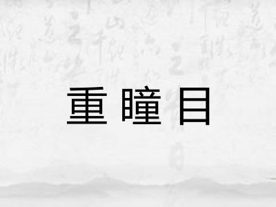 重瞳目 重瞳目