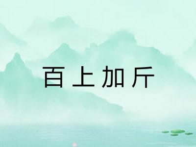 百上加斤