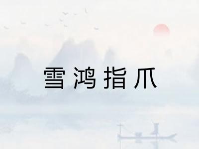 雪鸿指爪 雪鸿指爪