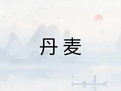 丹麦 丹麦
