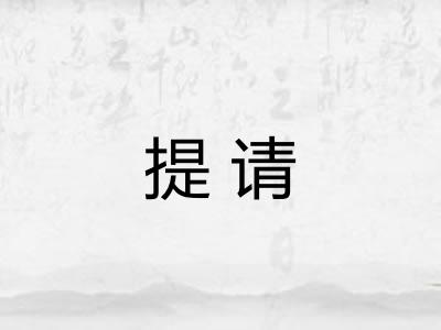 提请 提请