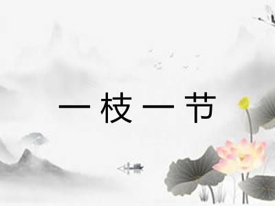 一枝一节 一枝一节