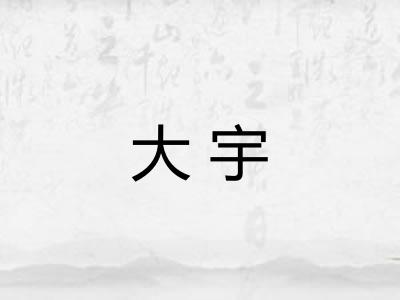大宇 大宇