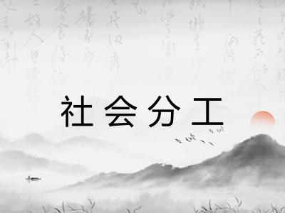 社会分工